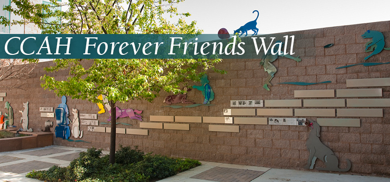 Forever Friends Wall Plaques