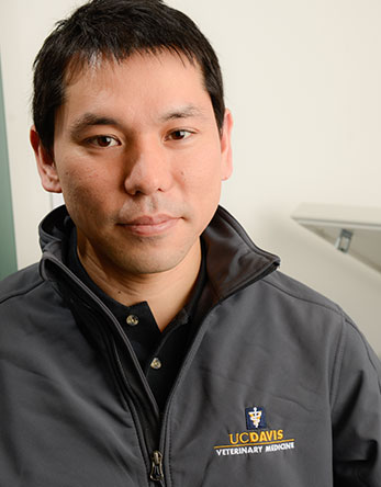 Yu Ueda, DVM, PhD, DACVECC