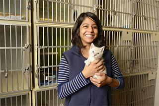Dr. Chumkee Aziz is a resident in the school's shelter medicine program.