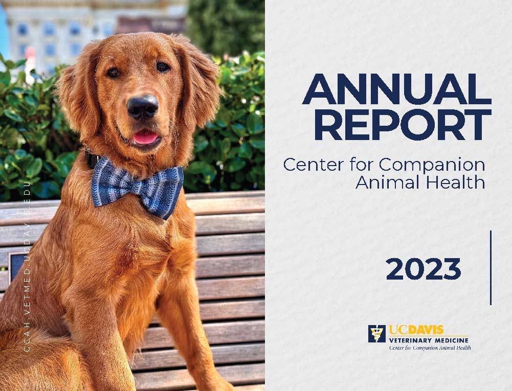 CCAH Annual Report 2023 Cover Image