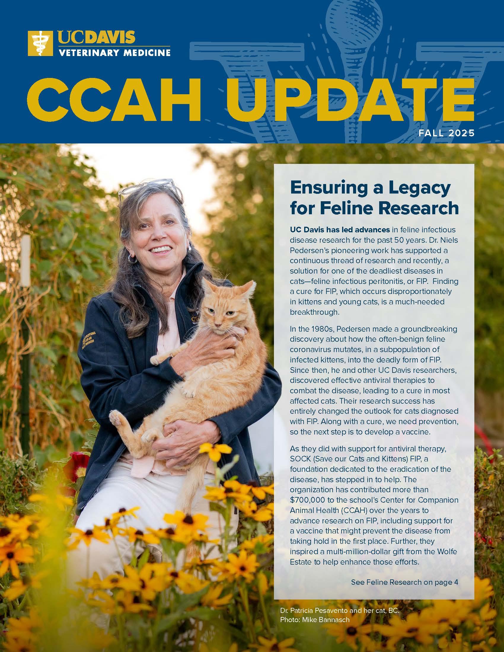CCAH Update Fall 2025 Image