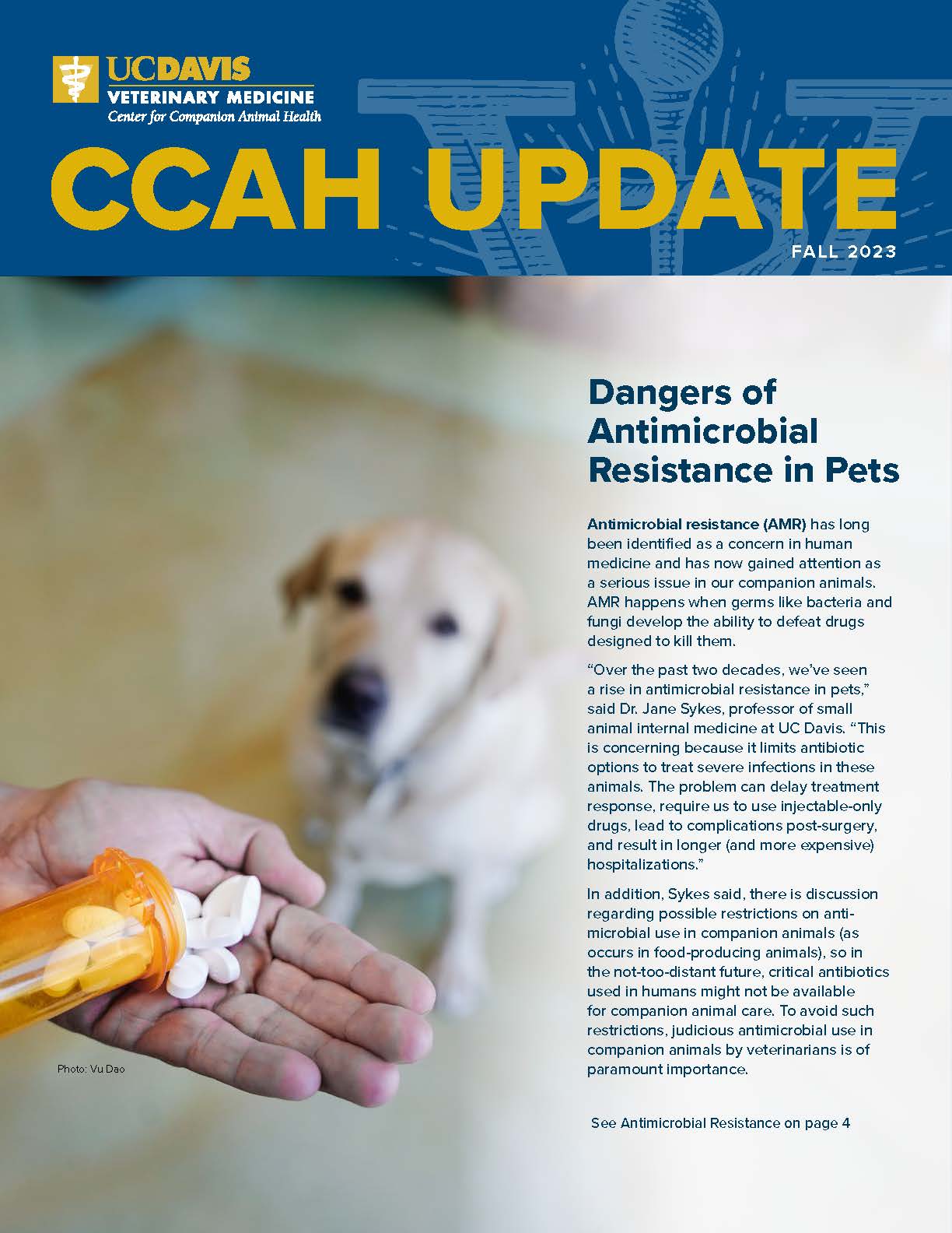 Cover CCAH_Update_Newsletter_Fall_23_final-web image