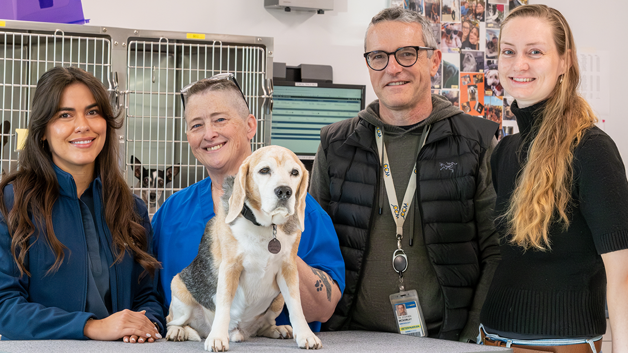 Four smiling adults and a beagle on a clinic counter, veterinary cages in background