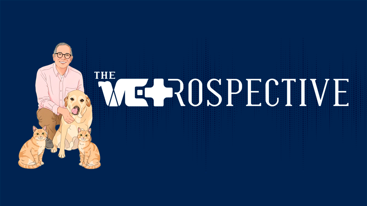 Graphic logo: vet in pink scrubs kneeling with dog and cat, 'The Vetrospective' on navy