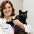Smiling female veterinarian holds black cat in clinic, framed dog photo on wall.