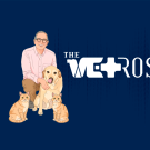 Graphic logo: vet in pink scrubs kneeling with dog and cat, 'The Vetrospective' on navy